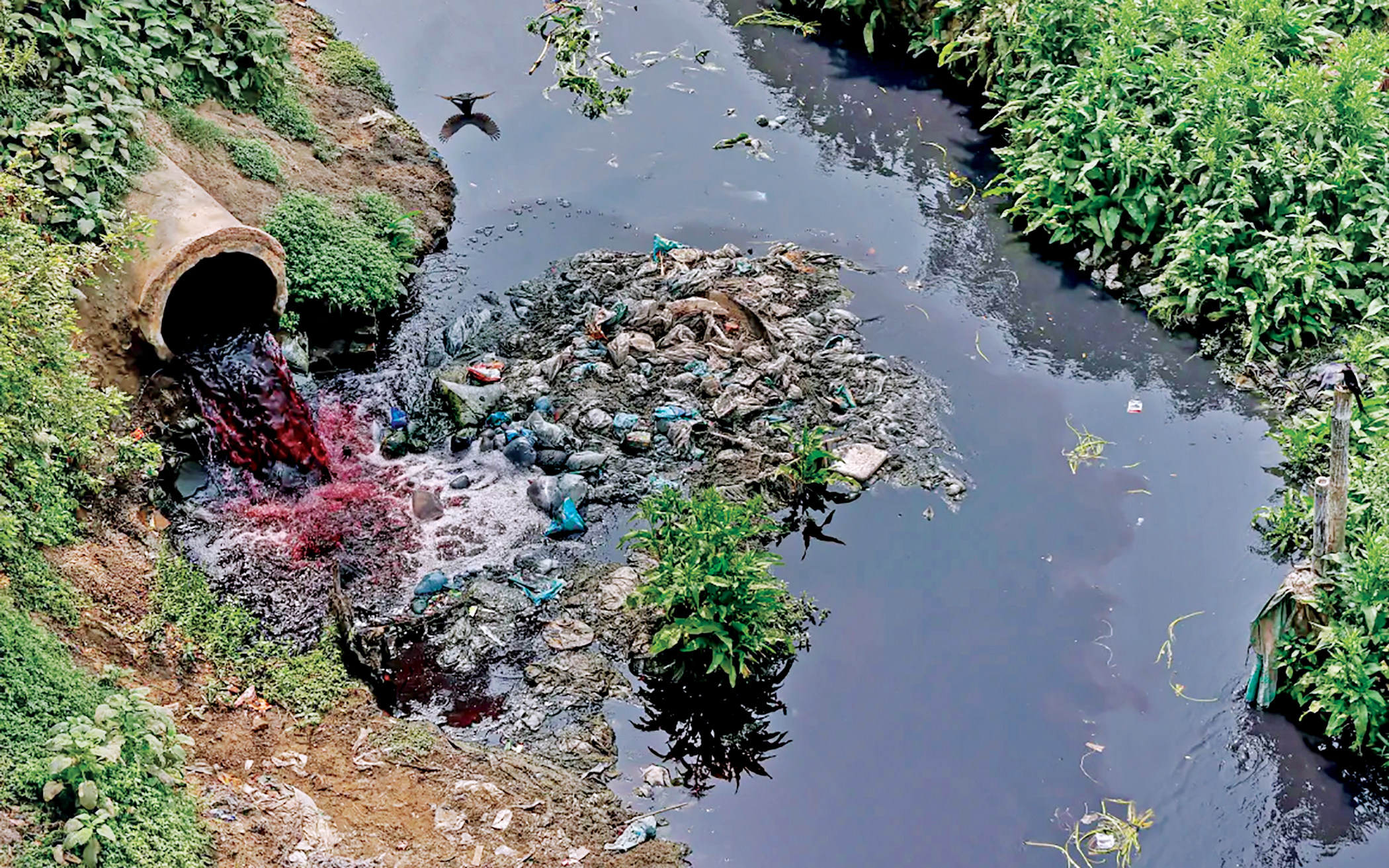 Toxic waste in our rivers: Stop this threat immediately