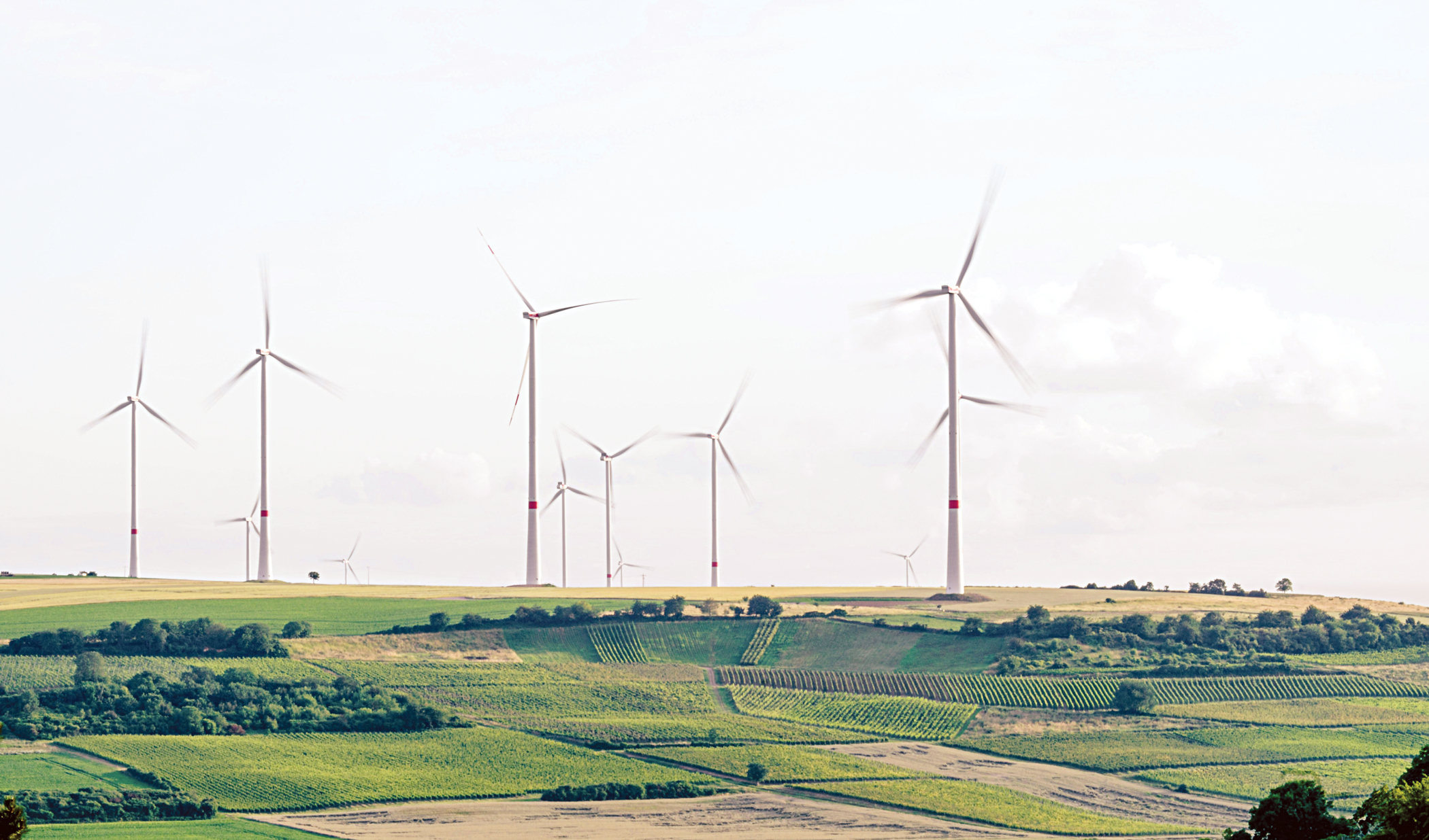 Harnessing  the wind: Clean energy, clear progress