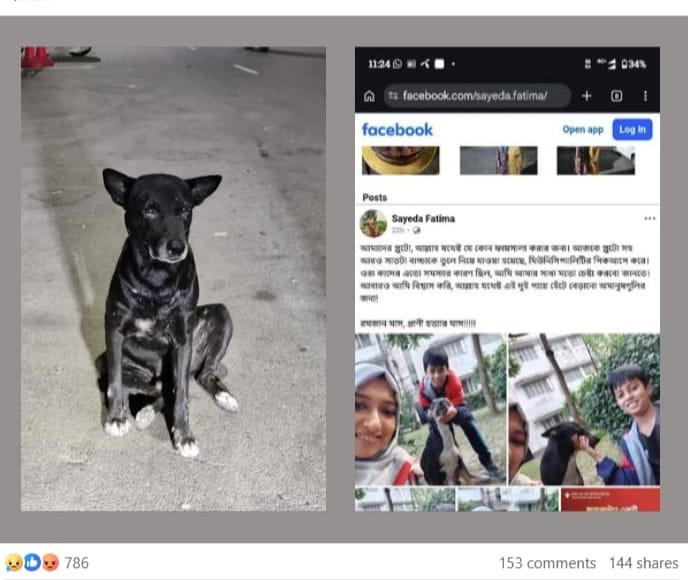 DSCC removed dogs from DU campus despite animal welfare law, activists say