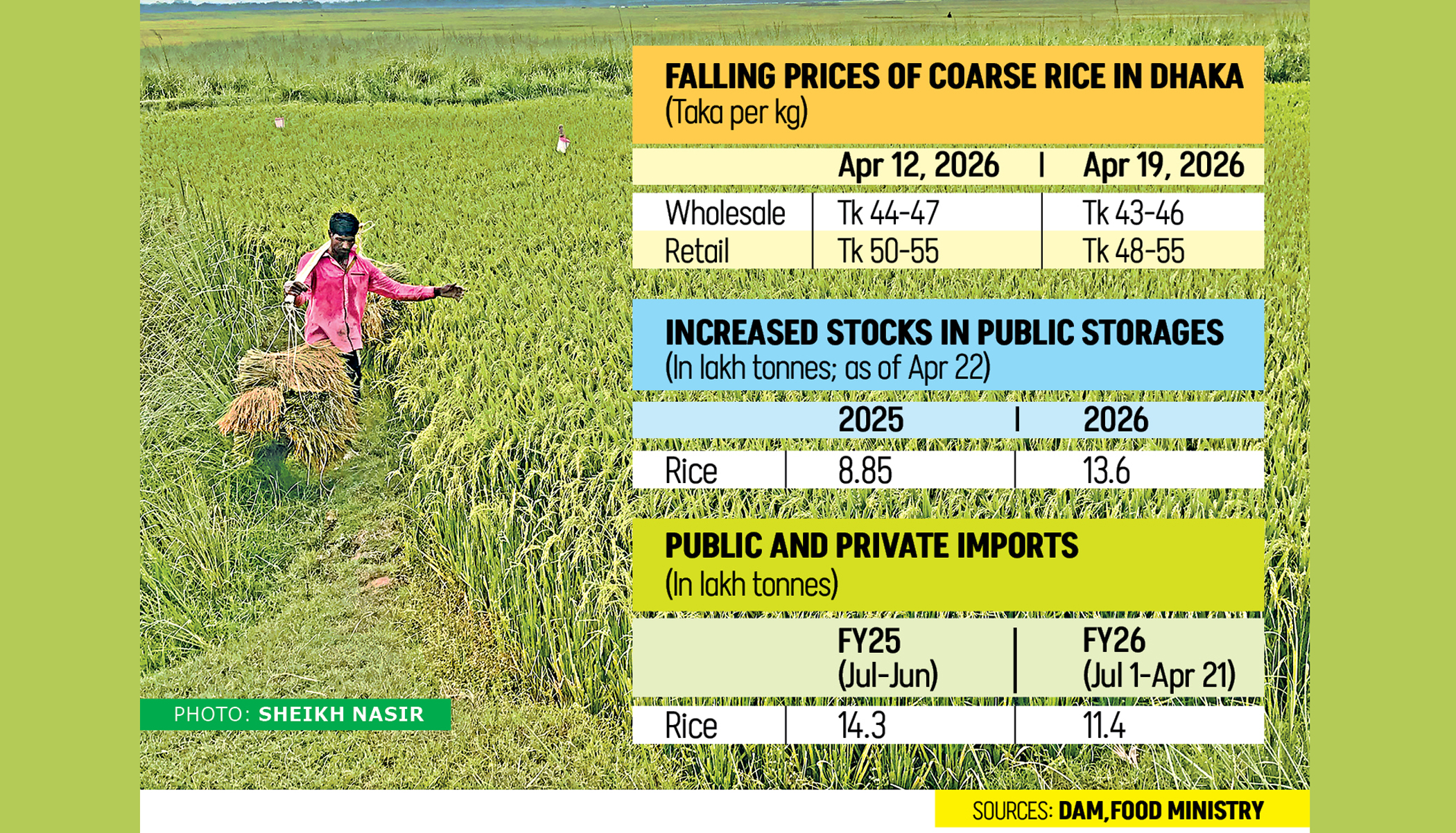 Boro paddy prices fall amid ample supply