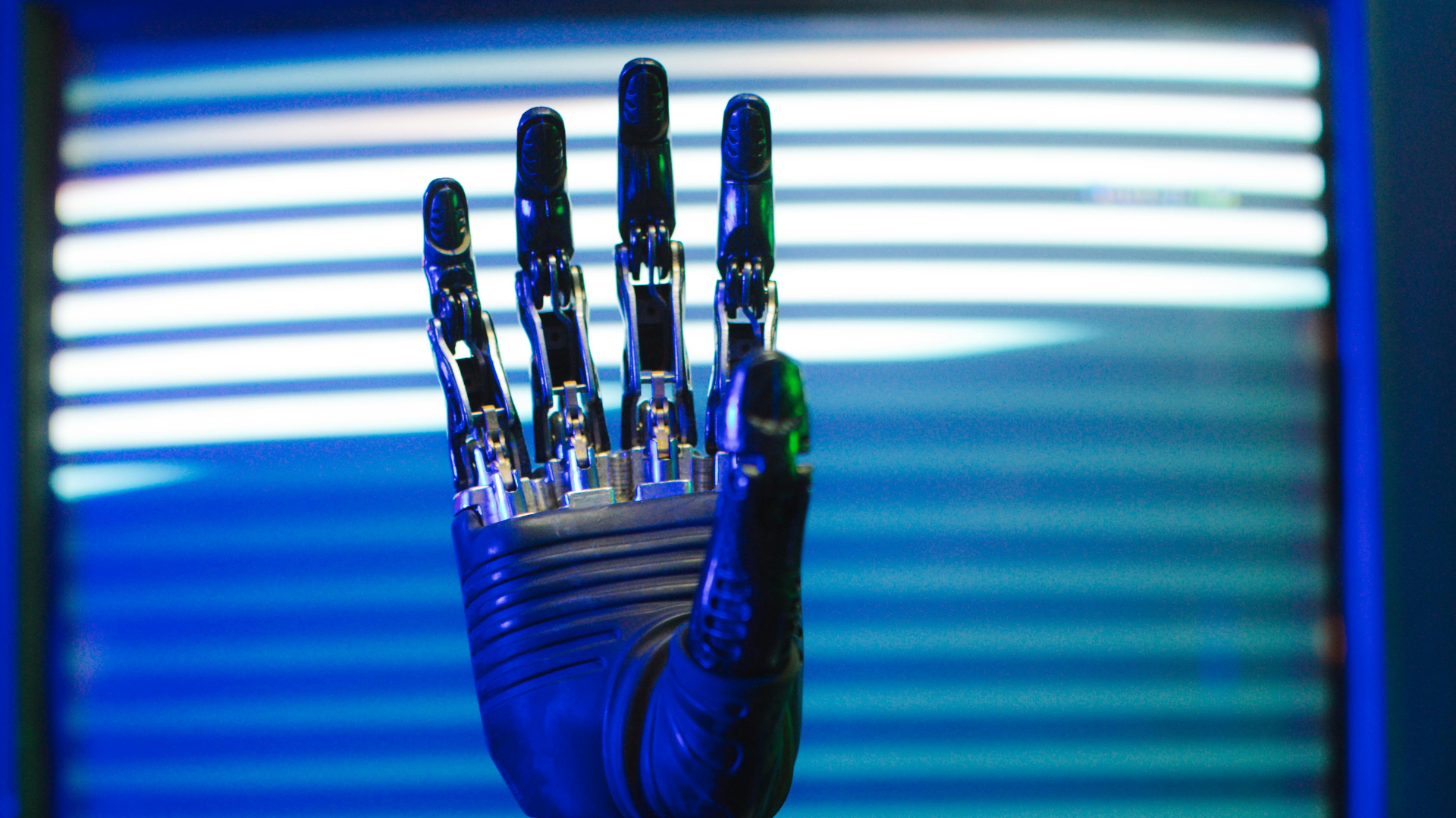 AI models disagree on which jobs AI will disrupt, study finds