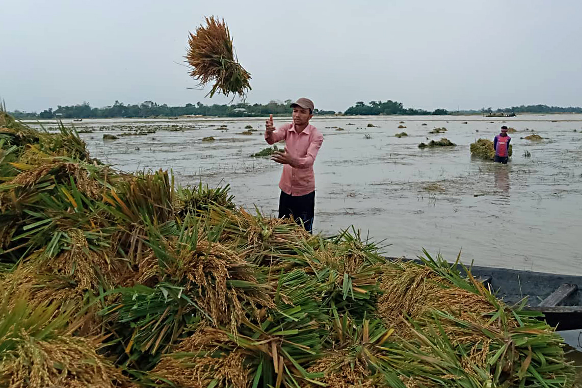 We need to rethink how we respond to haor floods