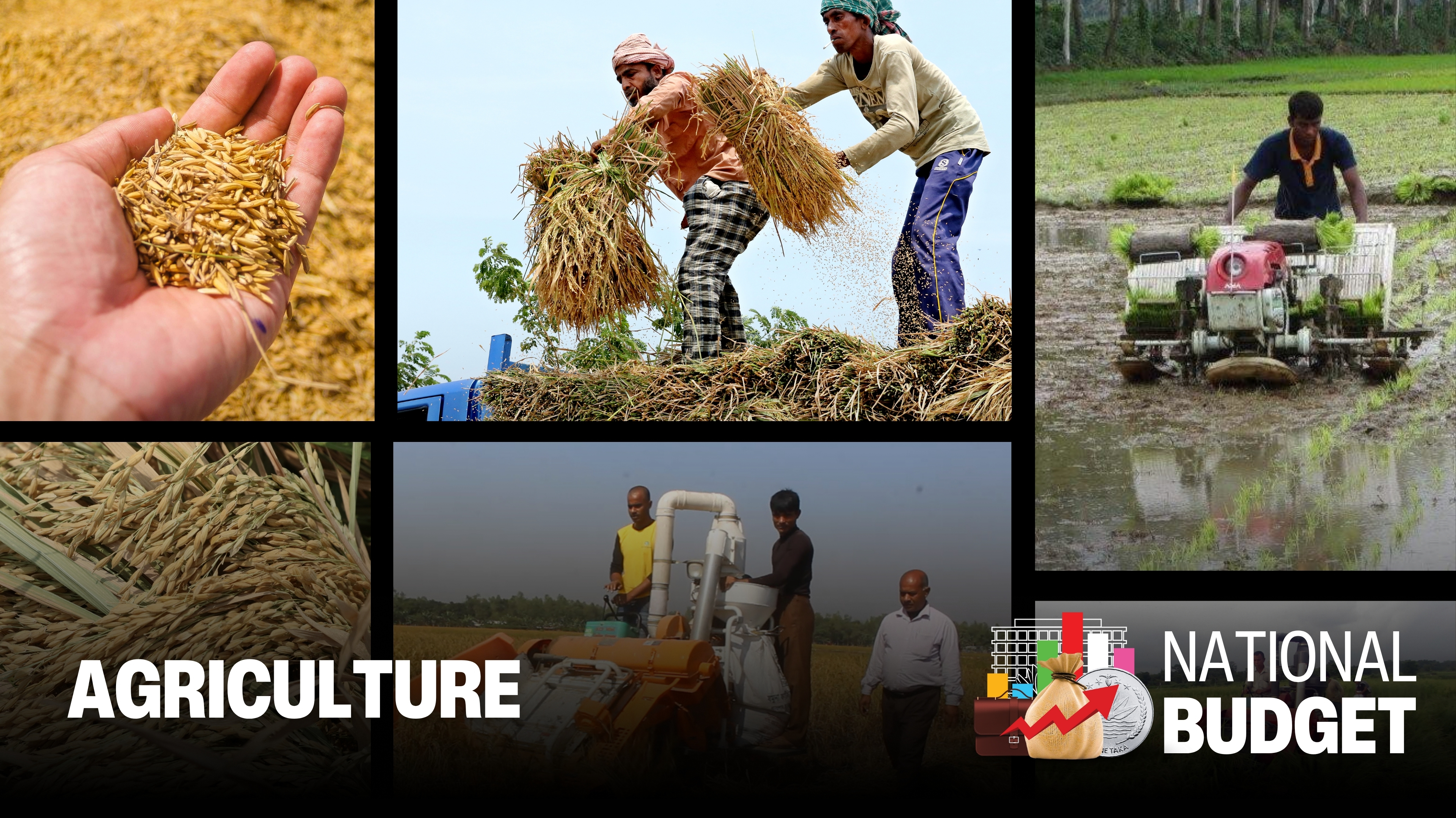 Agri share falls amid rising costs, climate shocks
