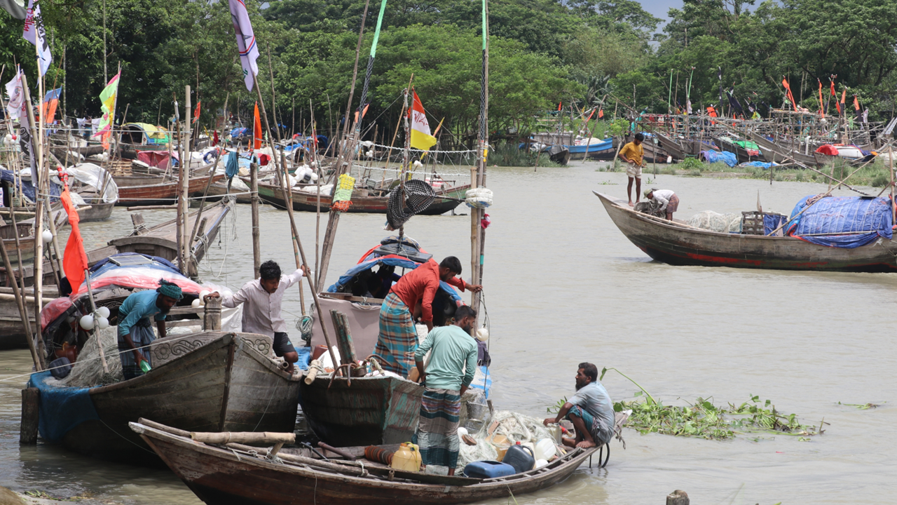 Hilsa fishers face empty nets as peak season yields little catch