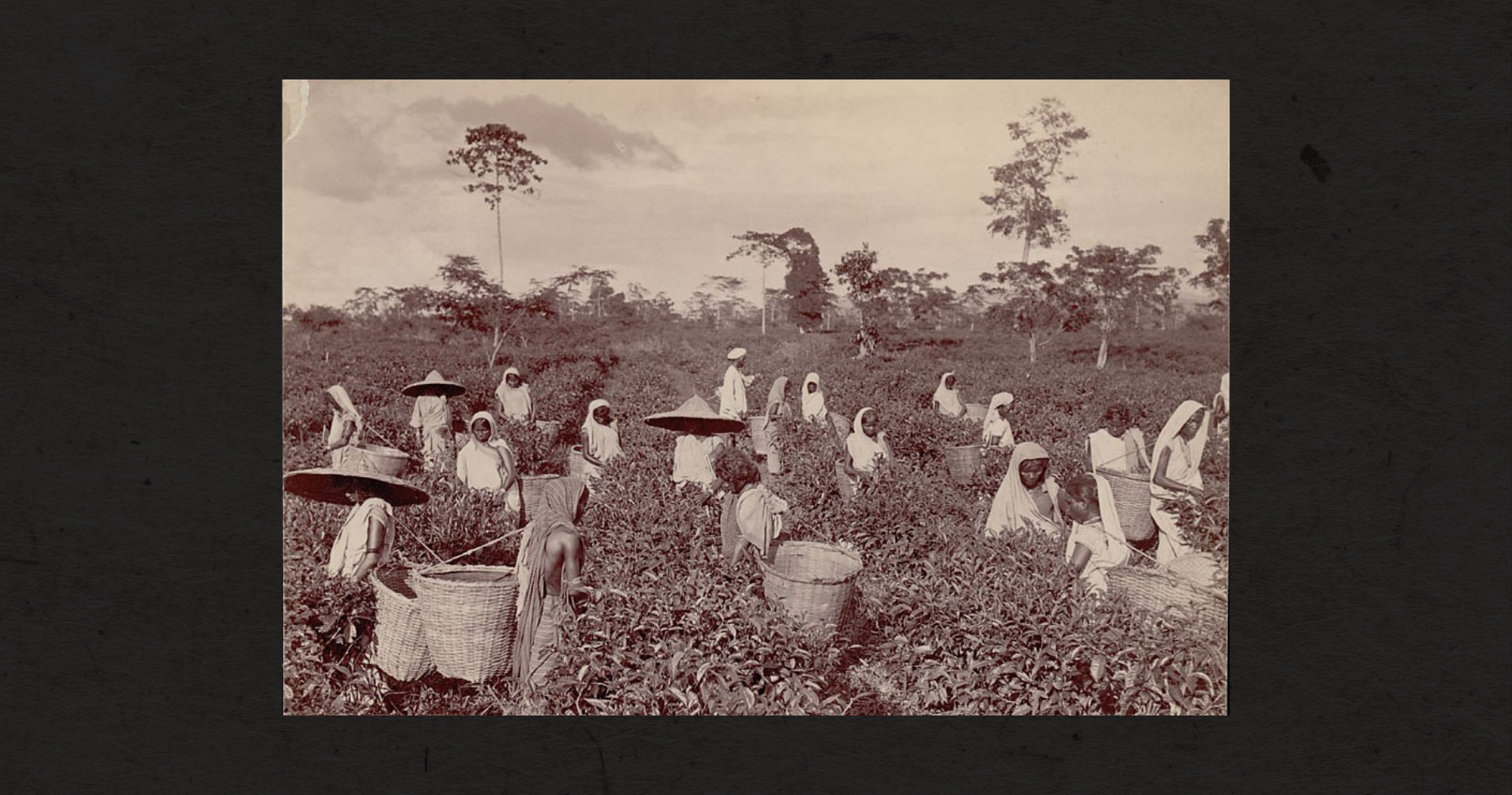 Before you sip your tea, remember Chandpur 1921