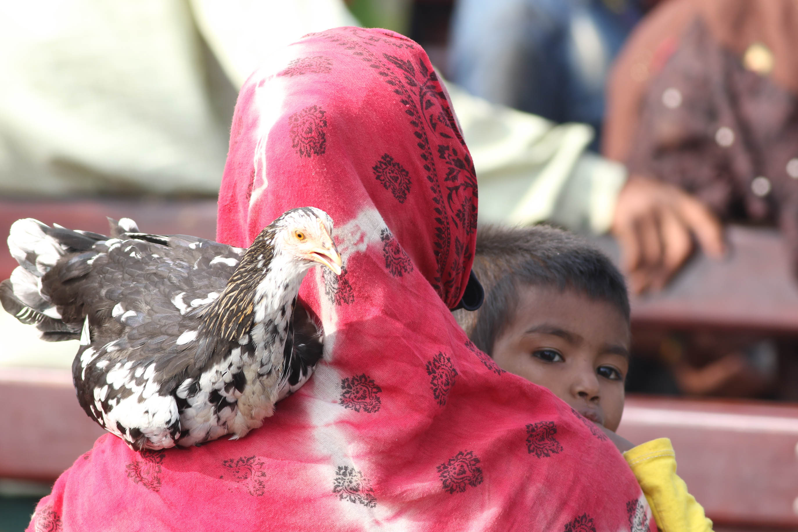 The everyday resistance of Rohingya women the world rarely sees