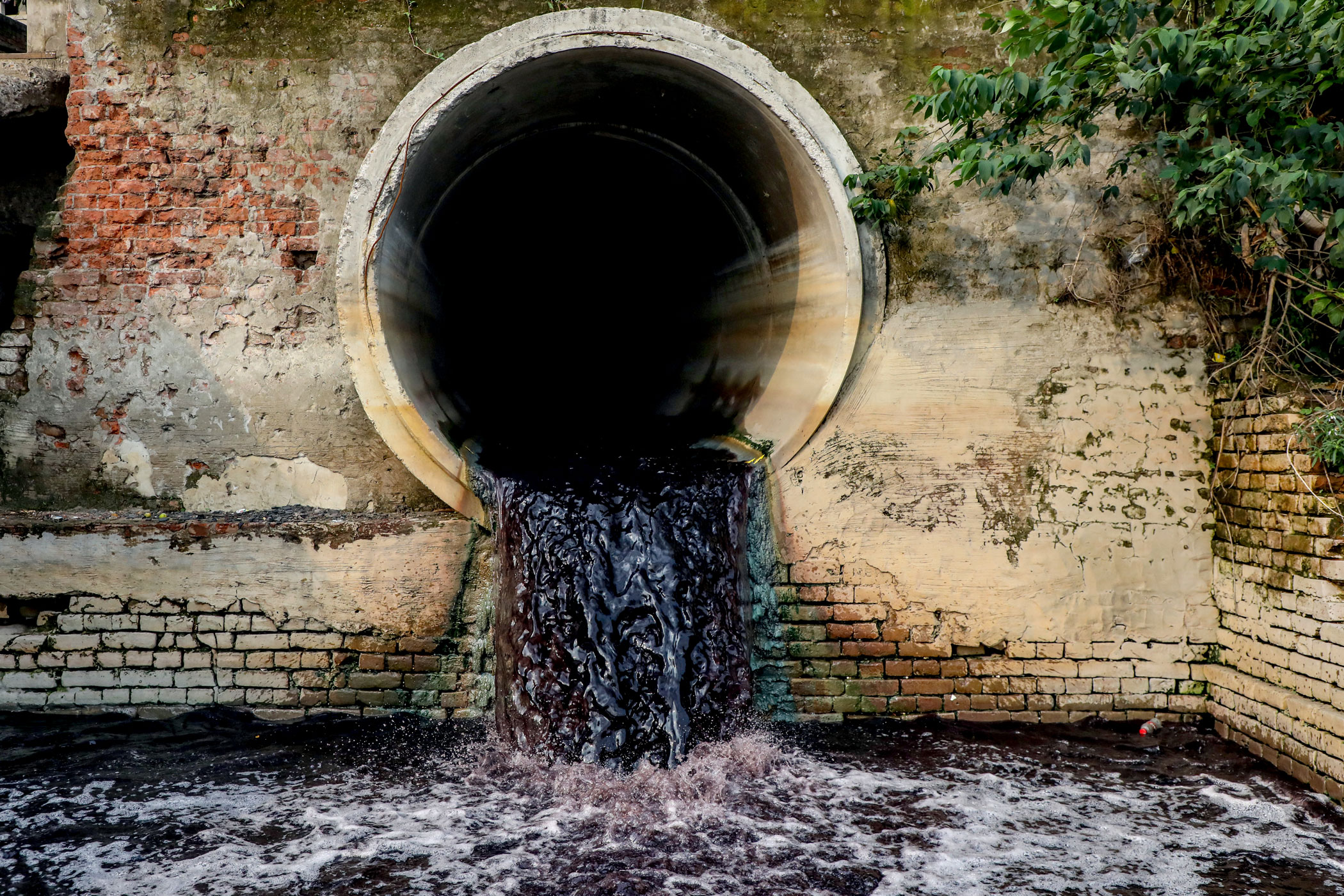 Why are our rivers still dying despite so many projects?