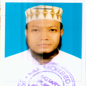 Md. Amir Hamza