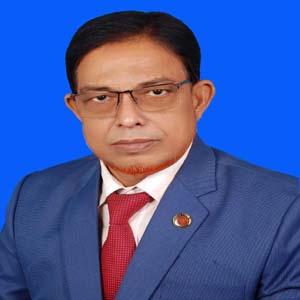 Mohammad Anwarul Islam