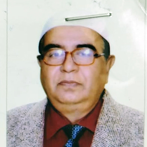 Syed Mehdi Ahmed Roomy