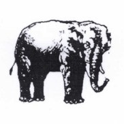 Party Symbol
