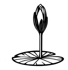 Party Symbol