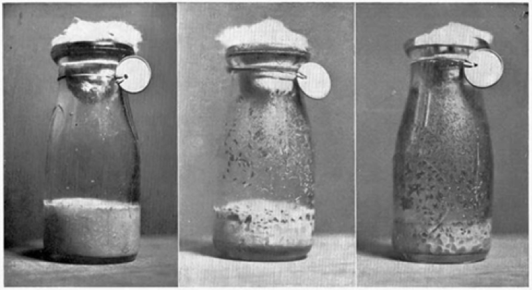 COVID-19 and the economisation of life in Bangladesh