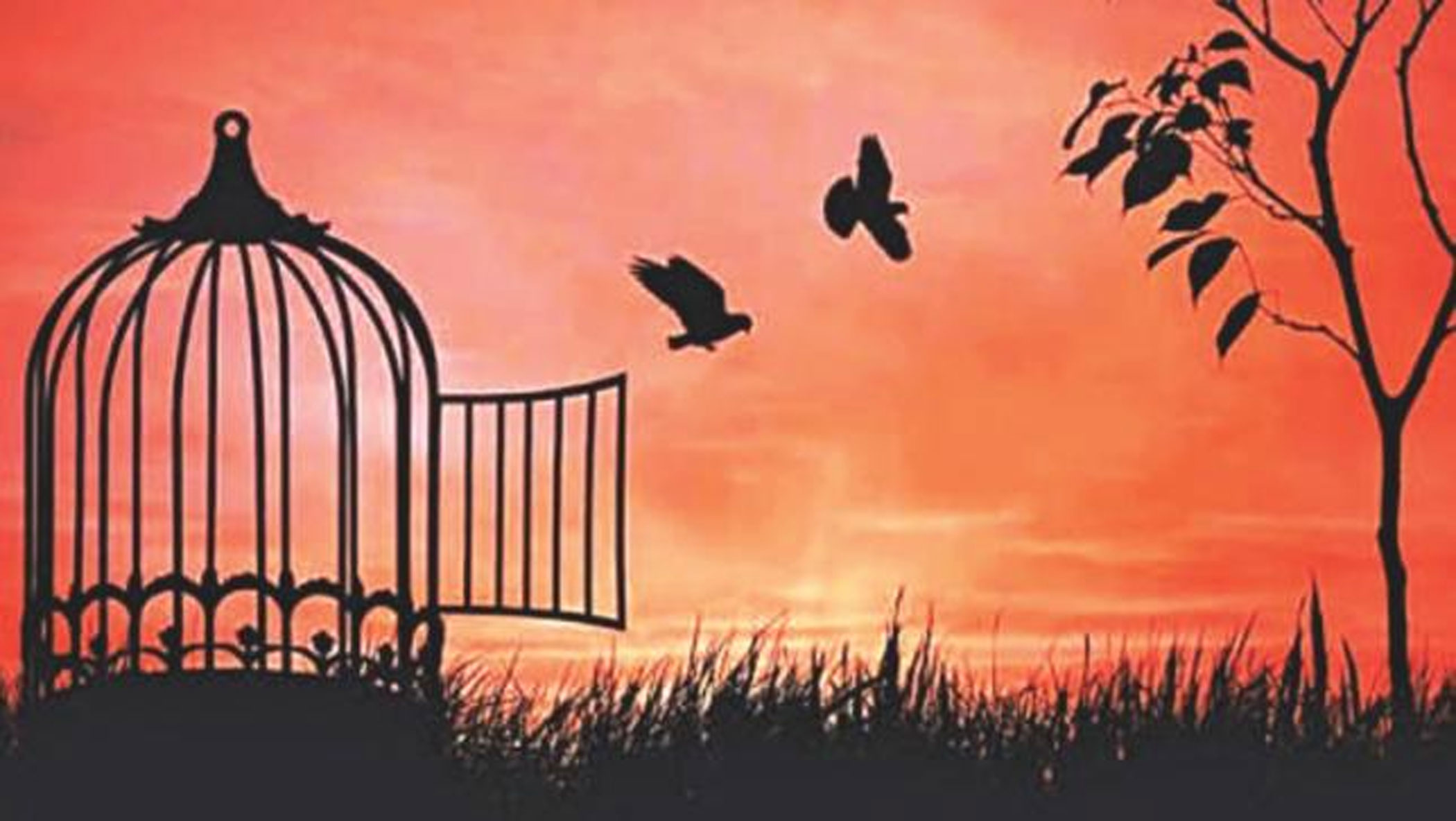 I cannot sing, how I can be free?