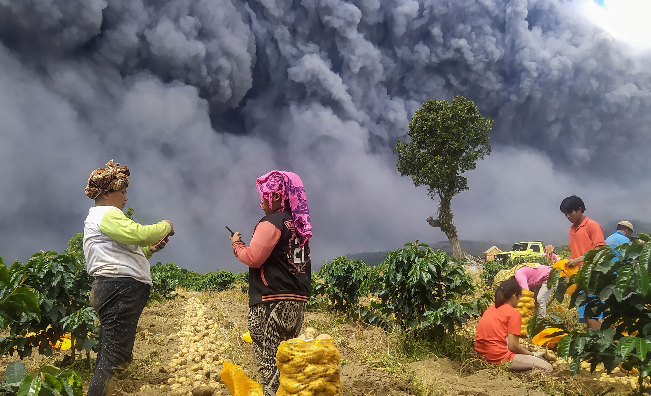 Man, technology and the environment