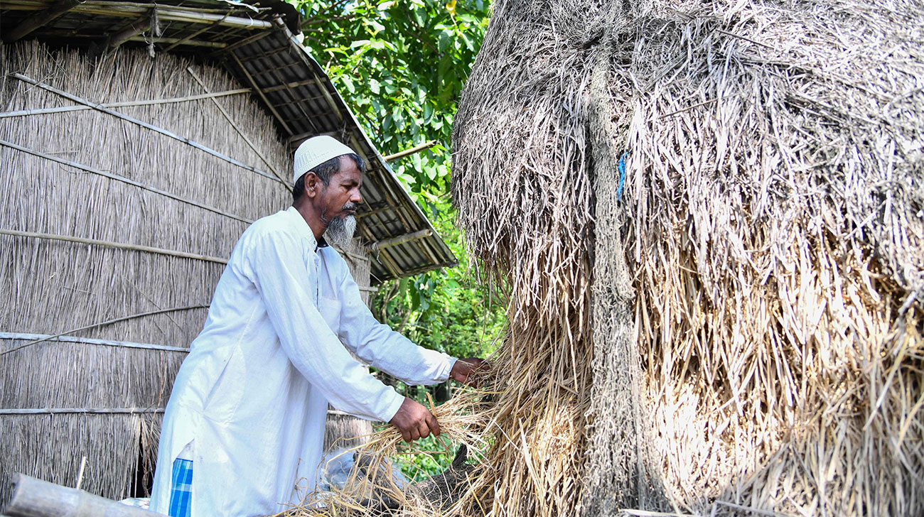 Options for those excluded from Assam NRC