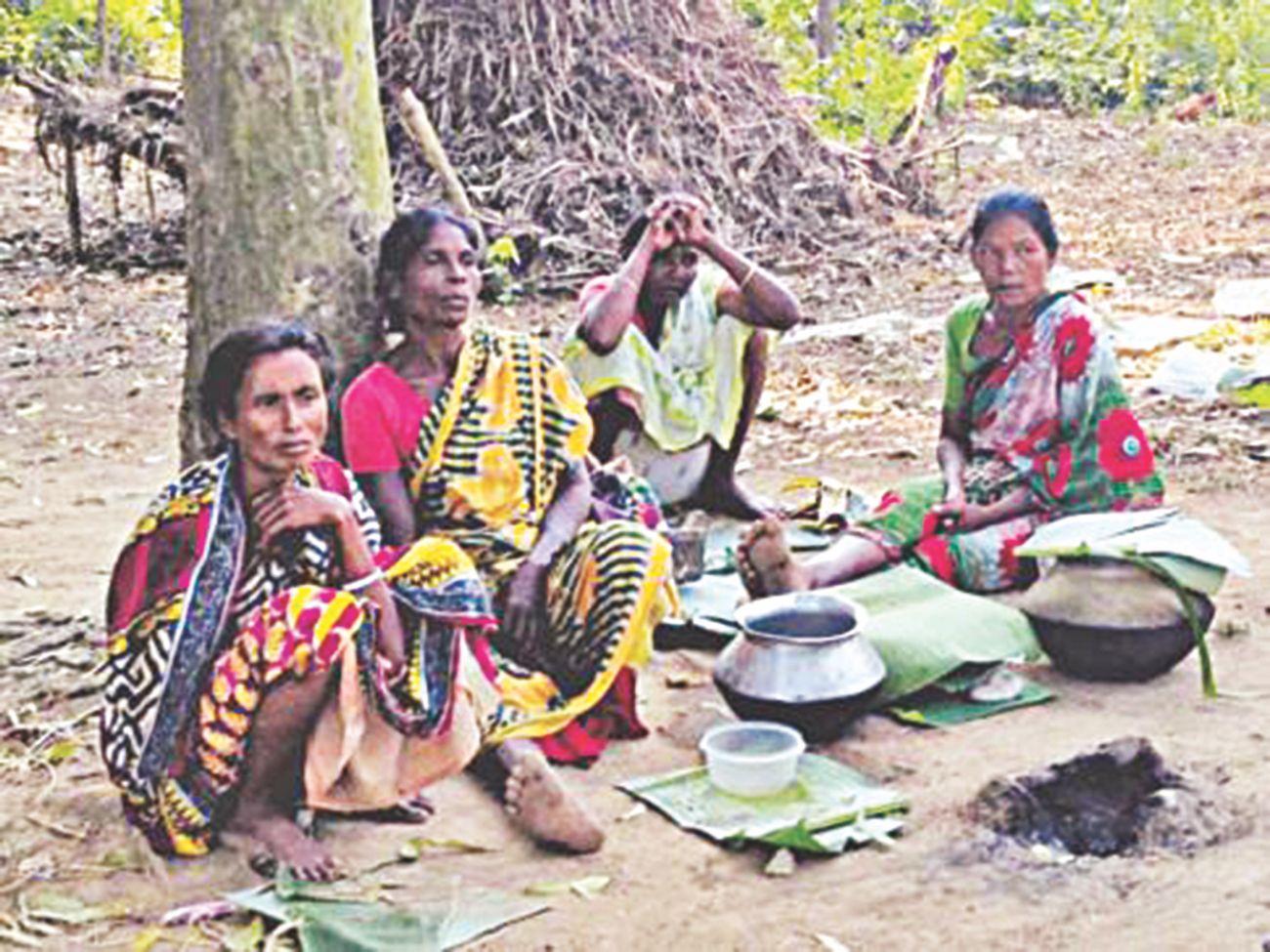 Santal House: Al Jazeera video shows arson in cop presence 