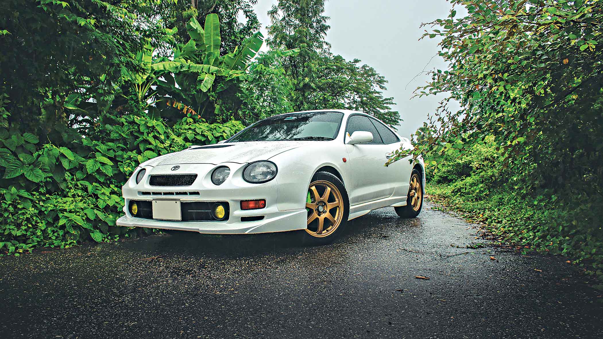 The black sheep, in white