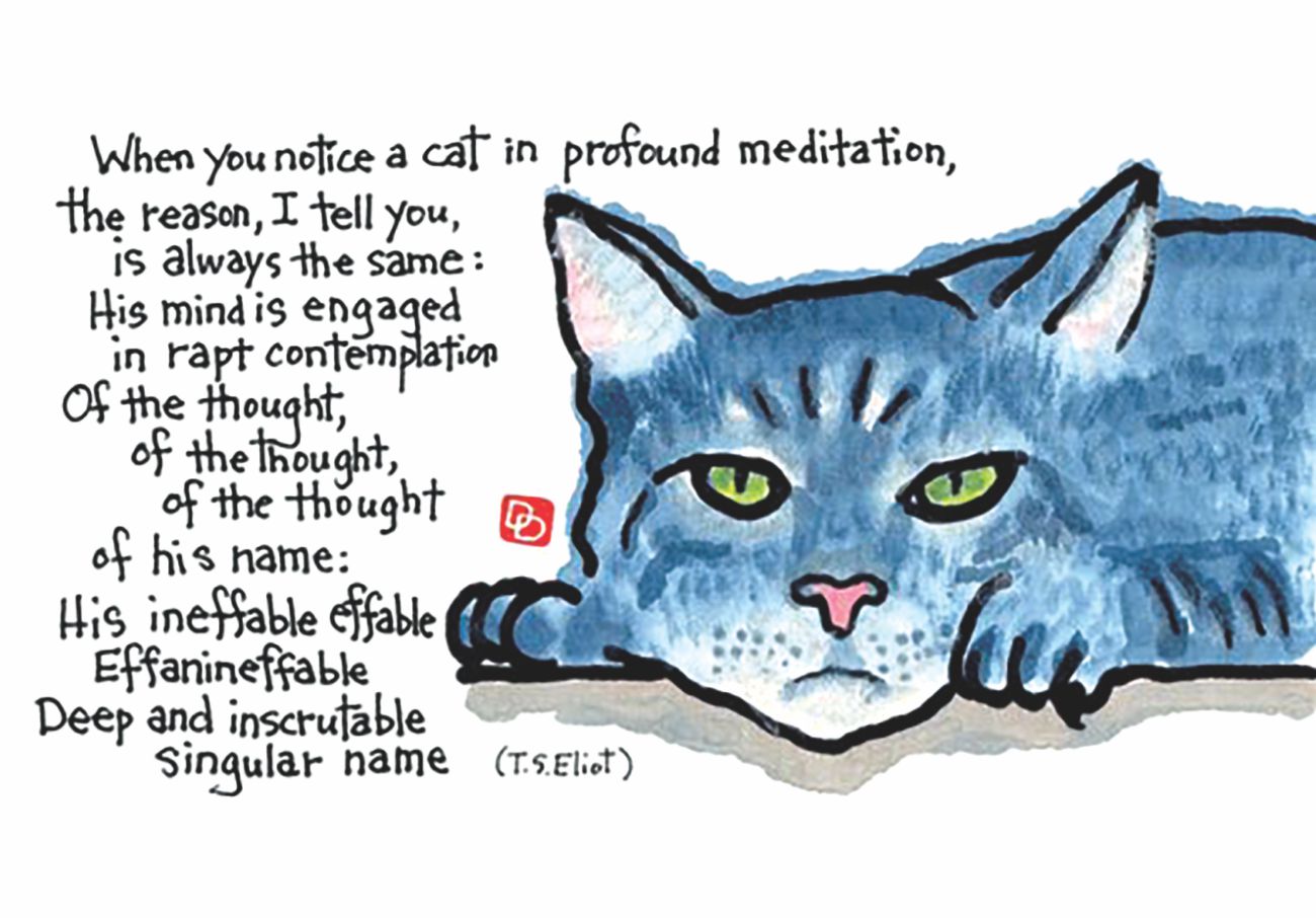 T.S.Eliot's Cat 