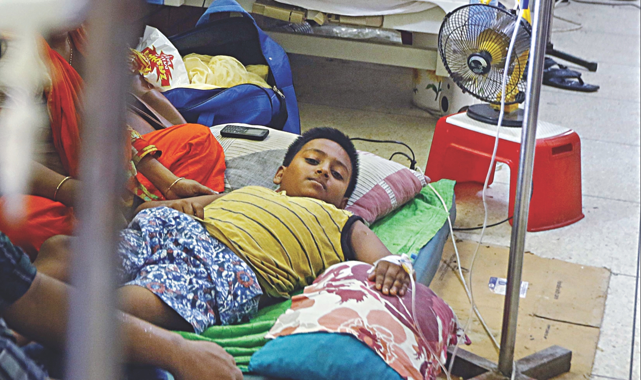 Dengue: Scientists taking the fight to world’s most dangerous creature