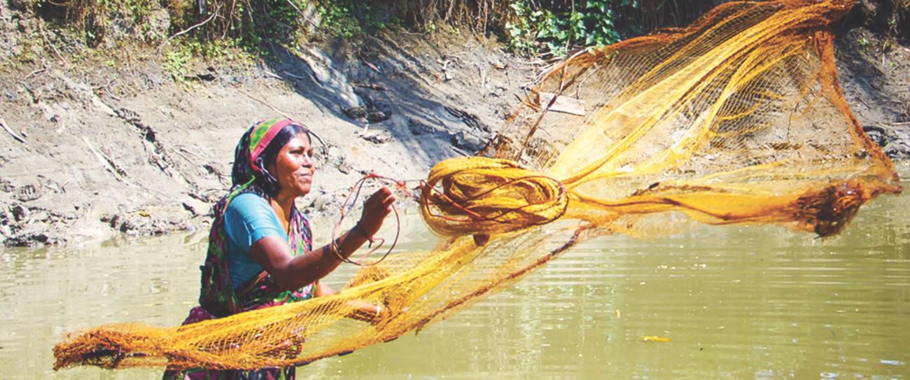 The Liberation War and Bangladesh's Development