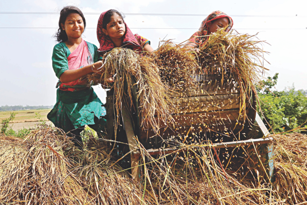 BTTC wants duty free rice imports