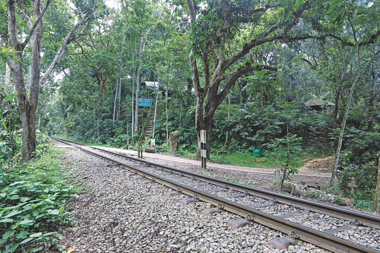 Nature Quest: Lawachhara in danger