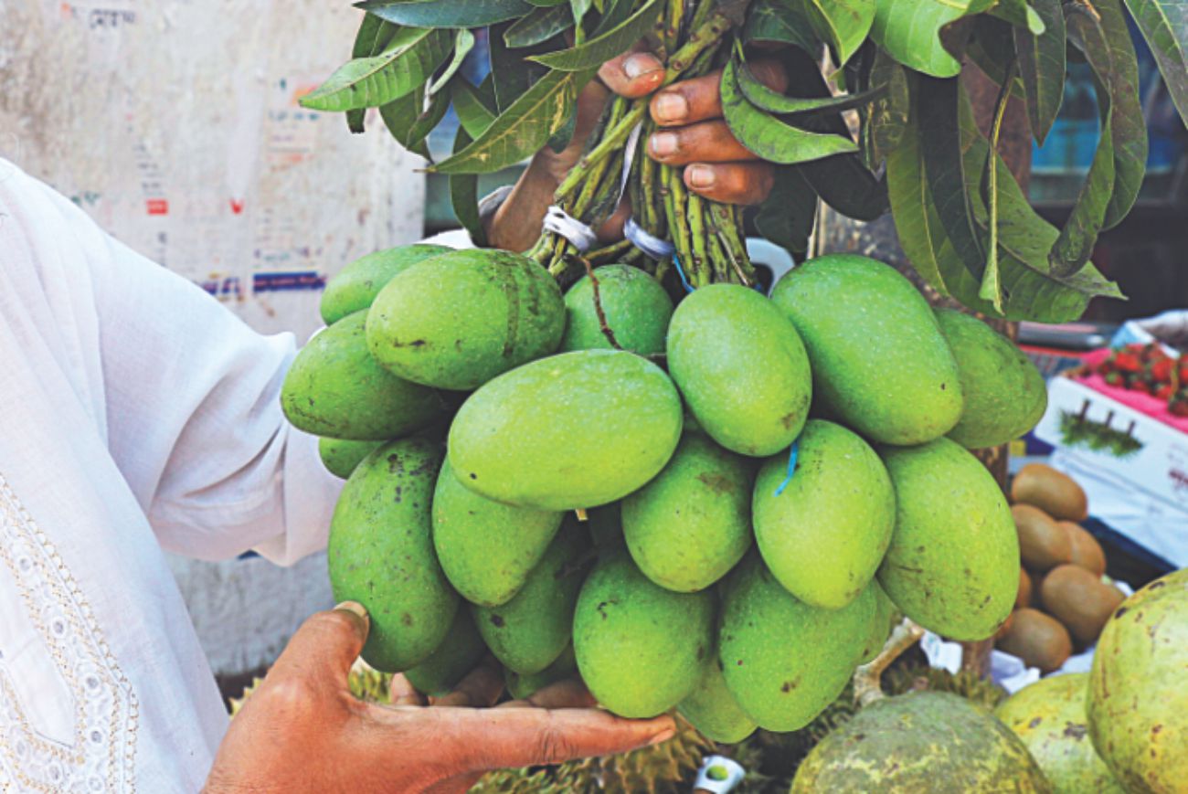 Cops to protect mangoes