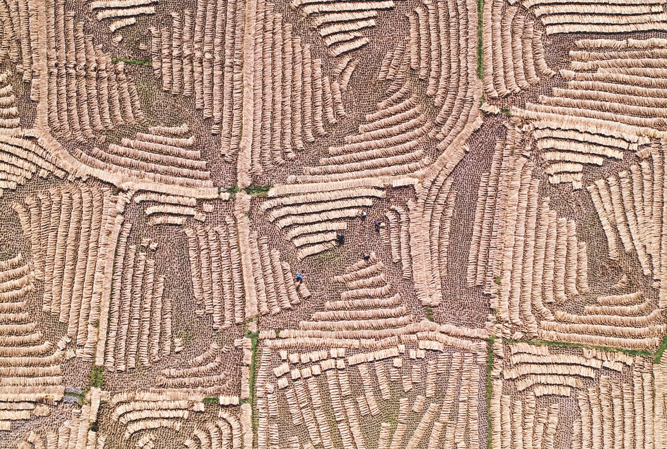 CEDAW at a dead end in Bangladesh?