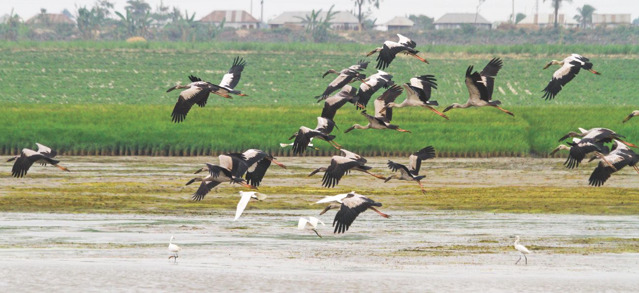 Through Santal villages, midnight walks and ghost stories