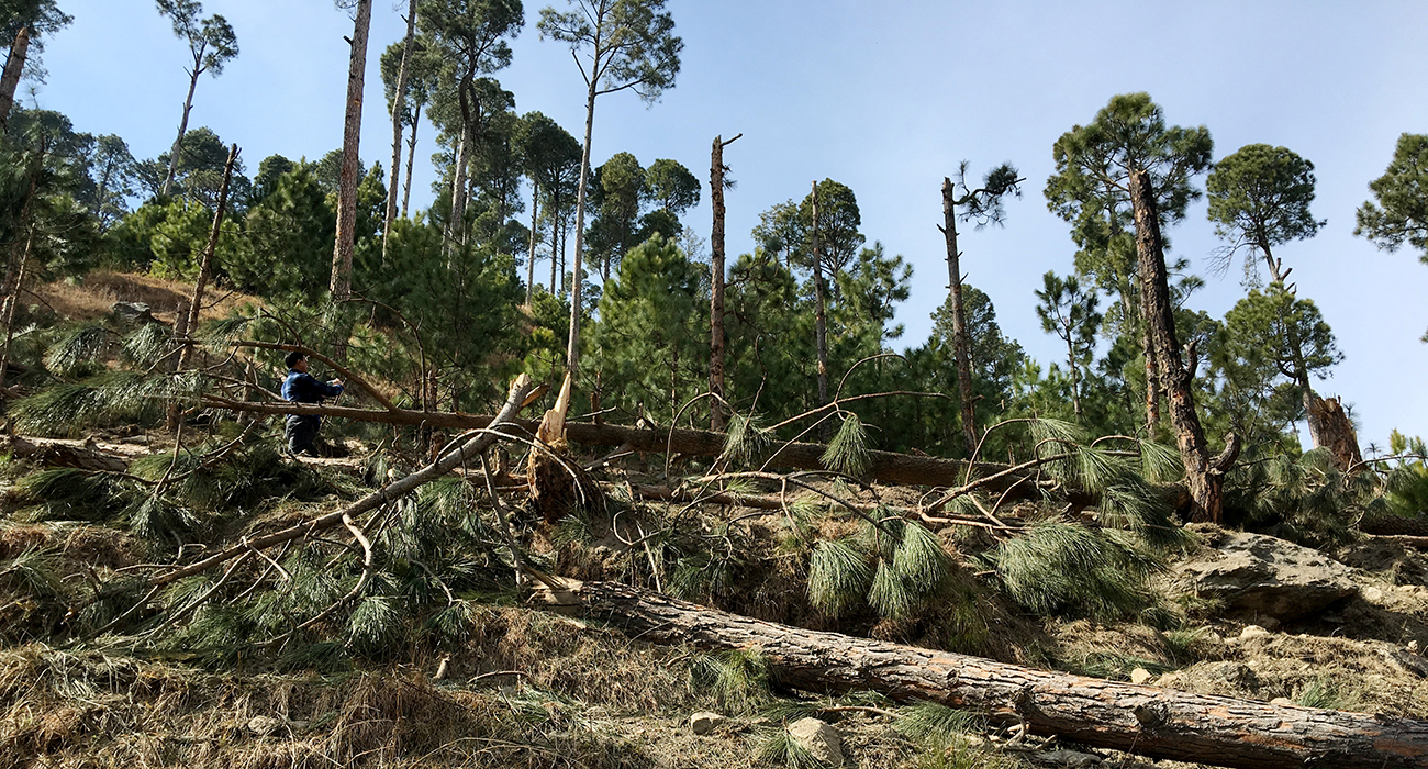 Pakistan to lodge 'eco-terrorism' complaint against India