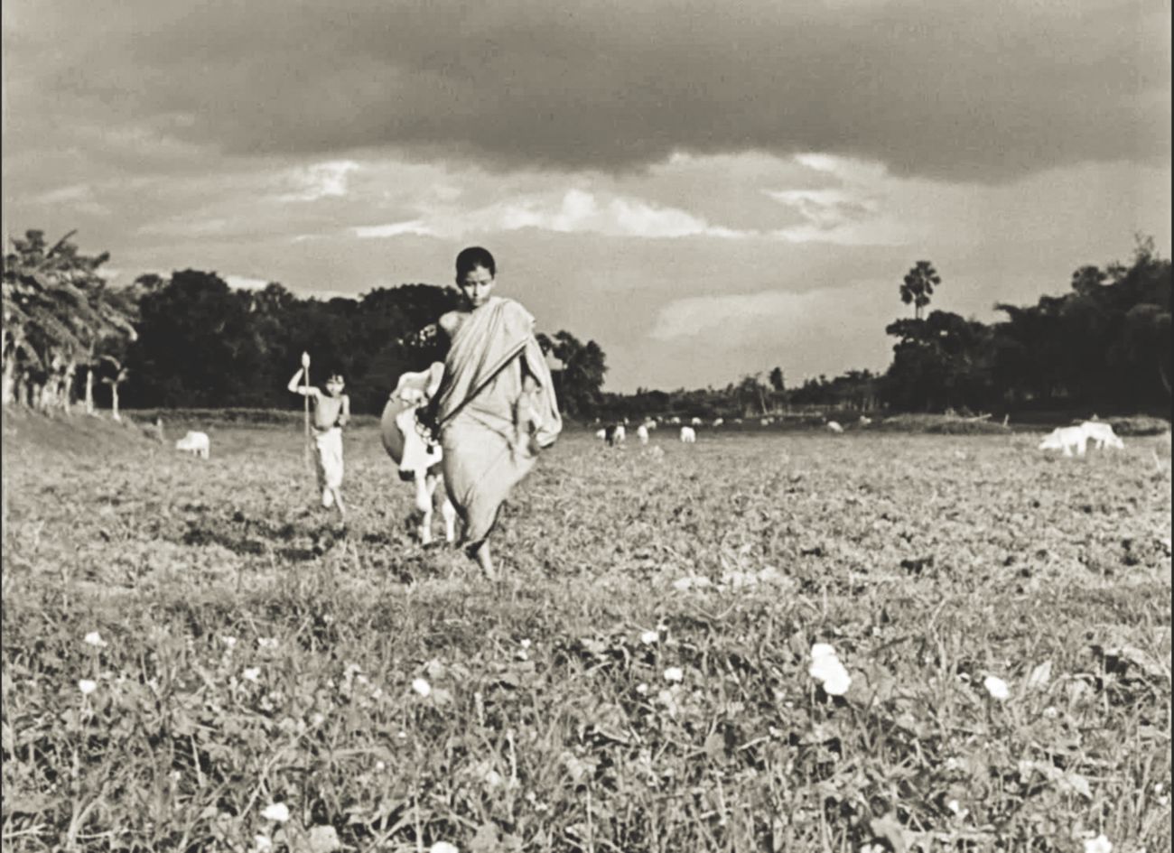 Chris Nolan just saw “Pather Panchali” and he is amazed 