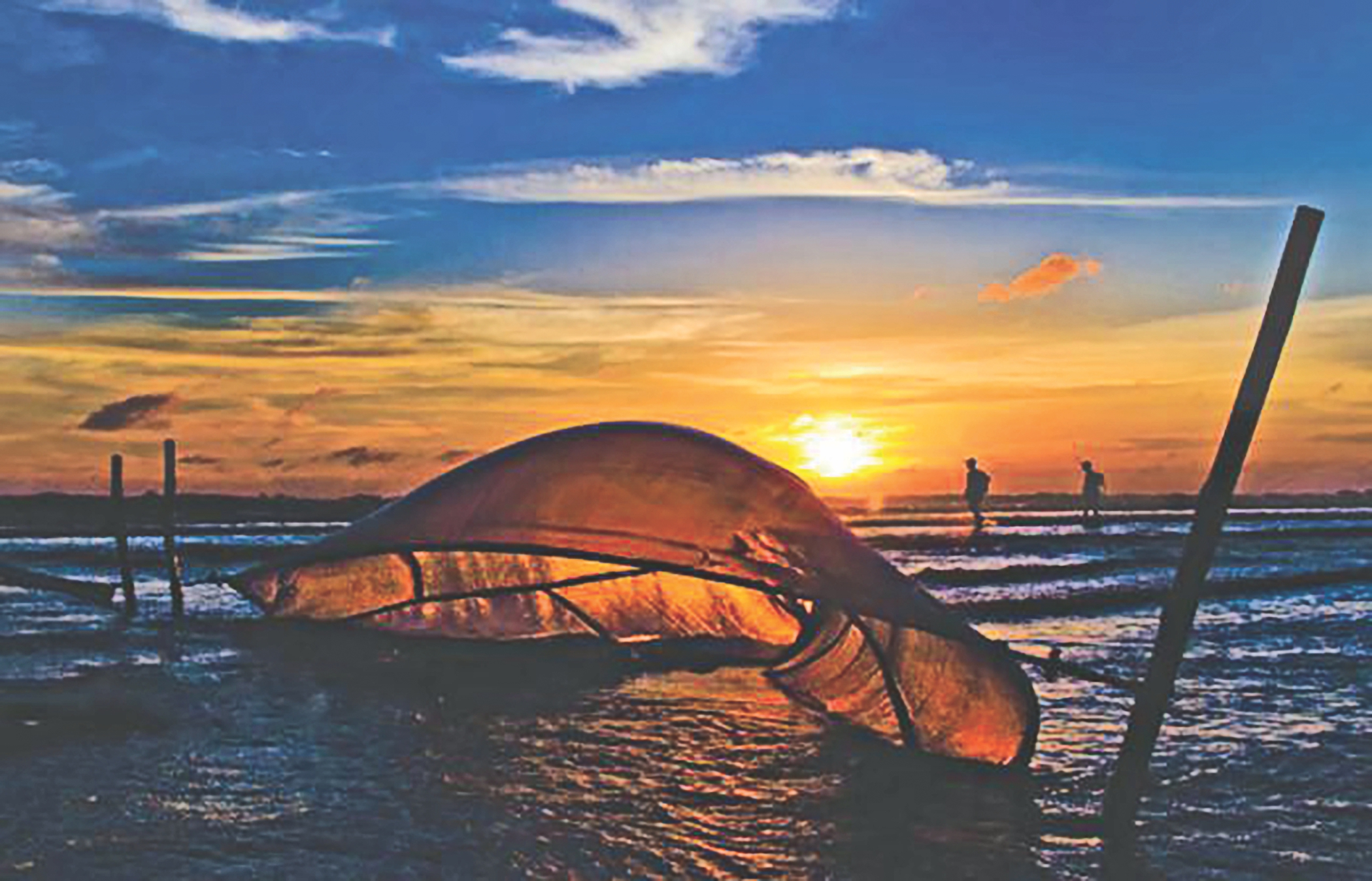 Blue economy and marine spatial planning