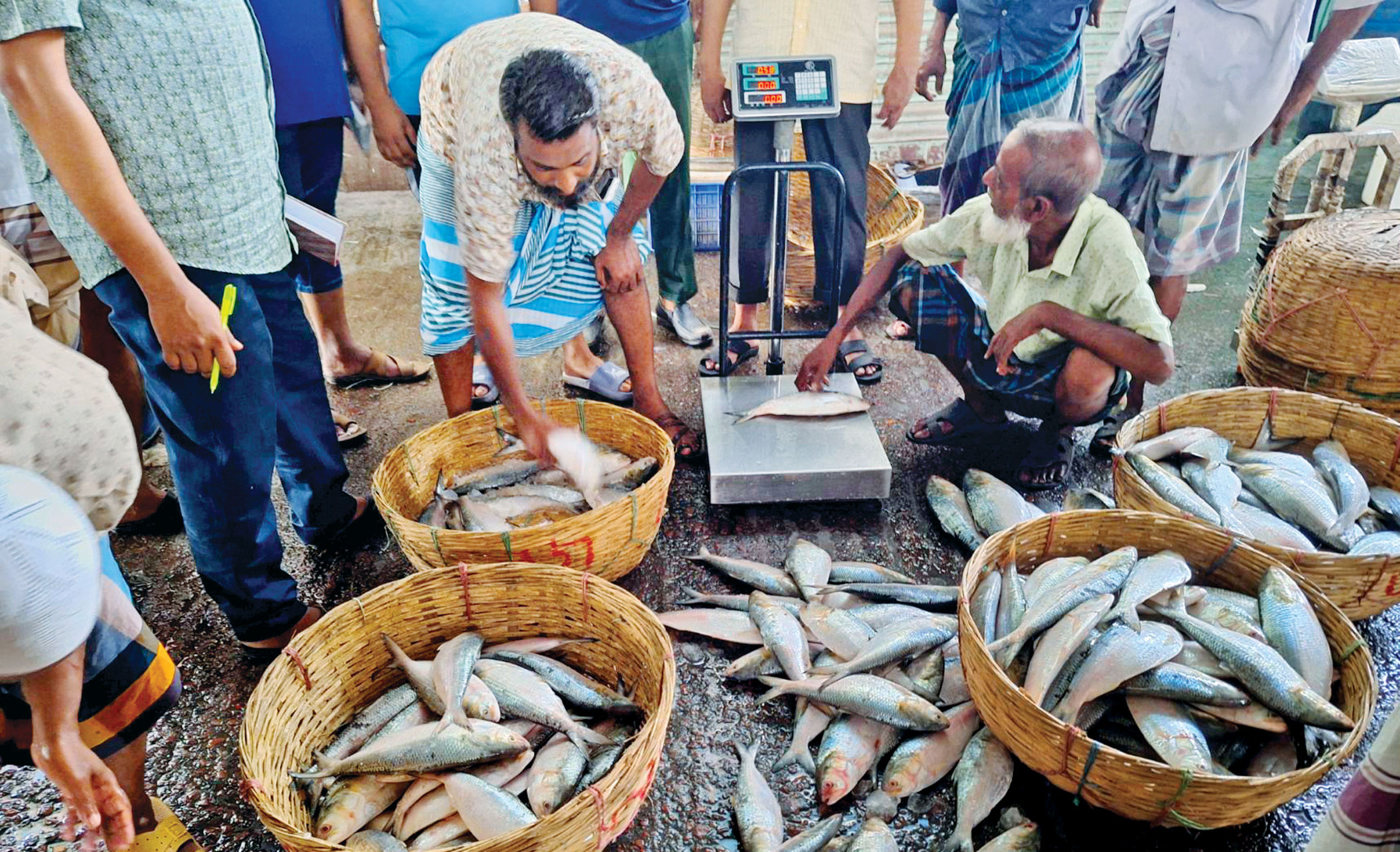 Fishy business caught by fraying India-Bangladesh ties