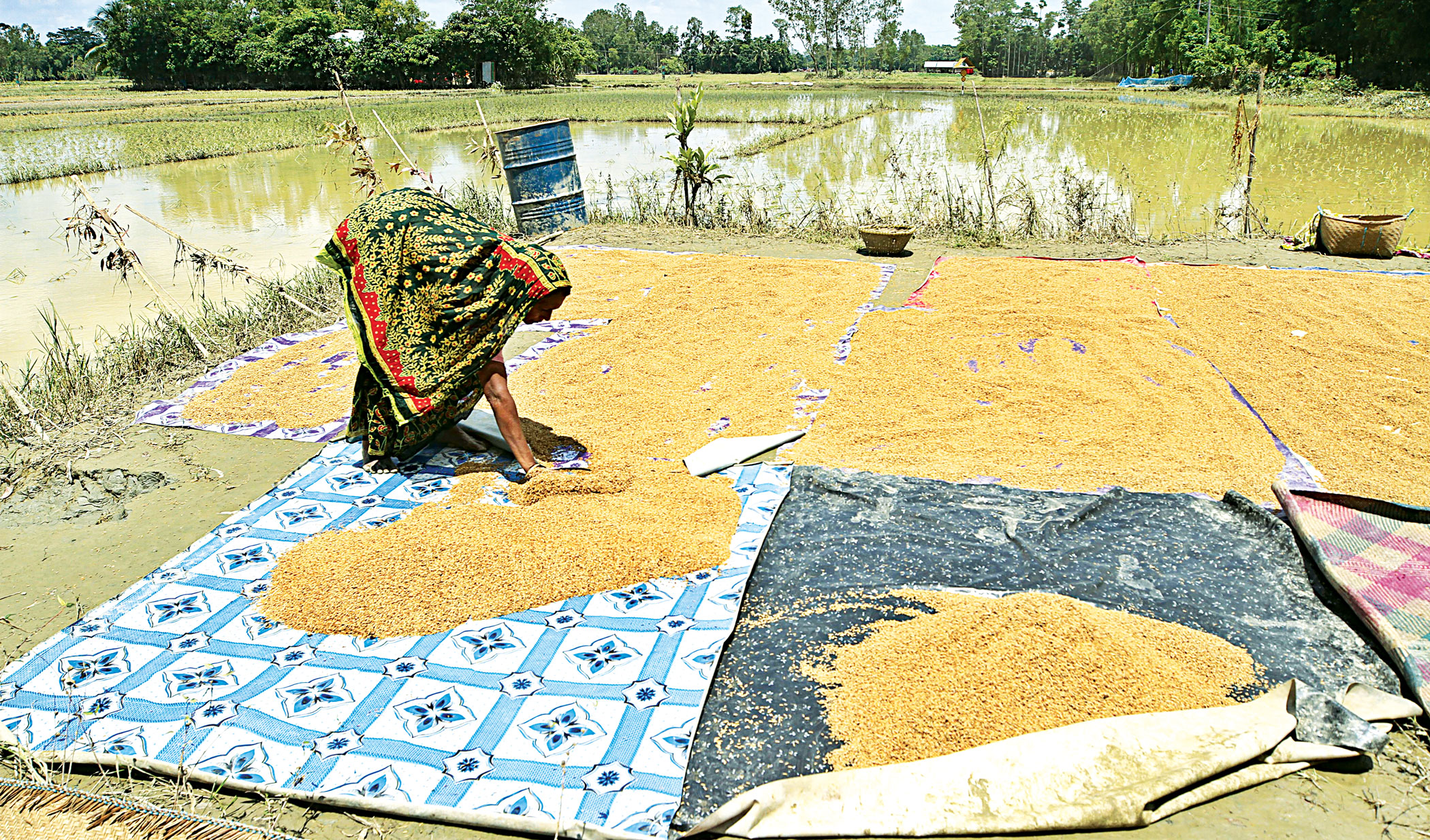 Flood raises spectre of diseases
