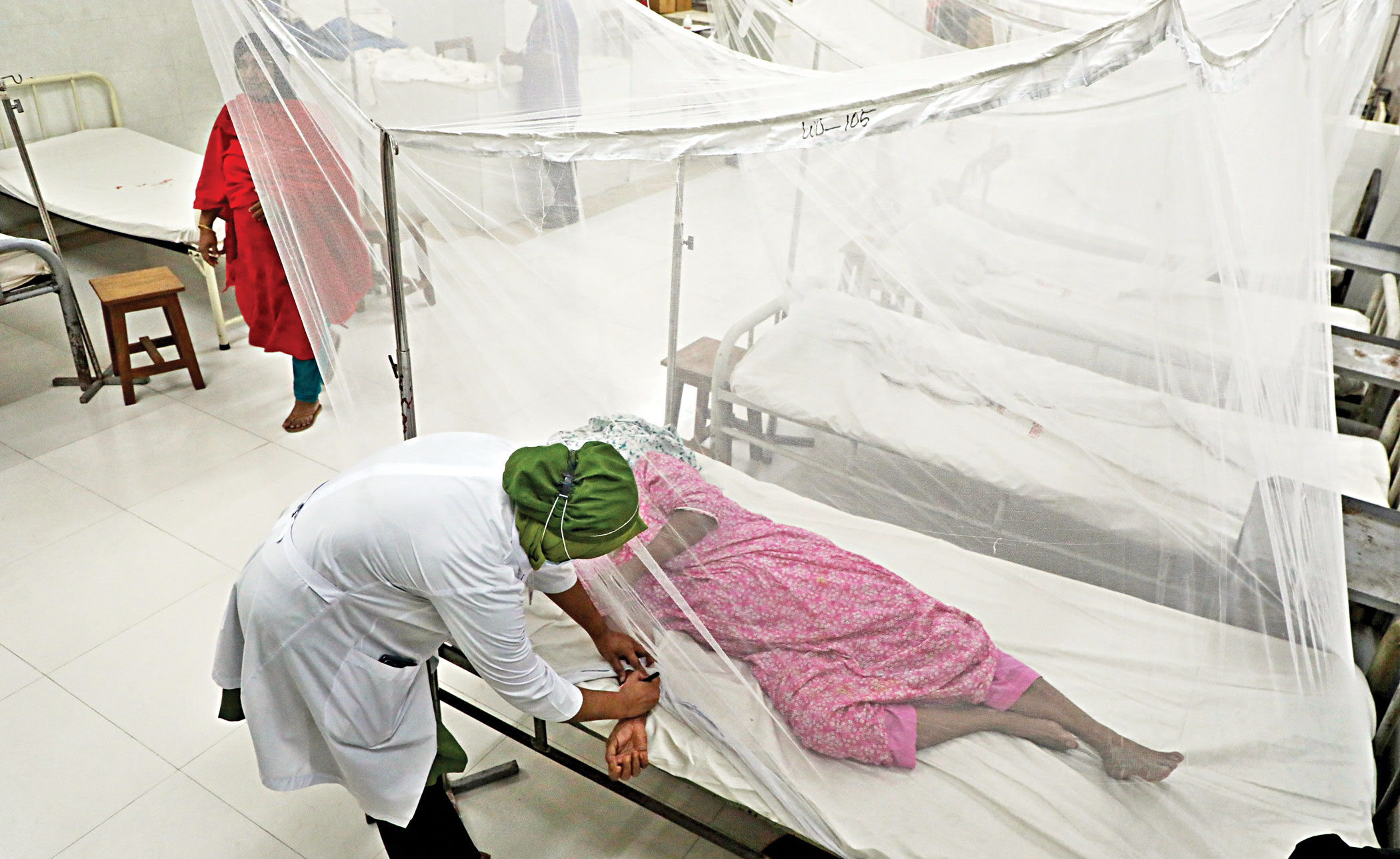 Rise in dengue cases rings alarm