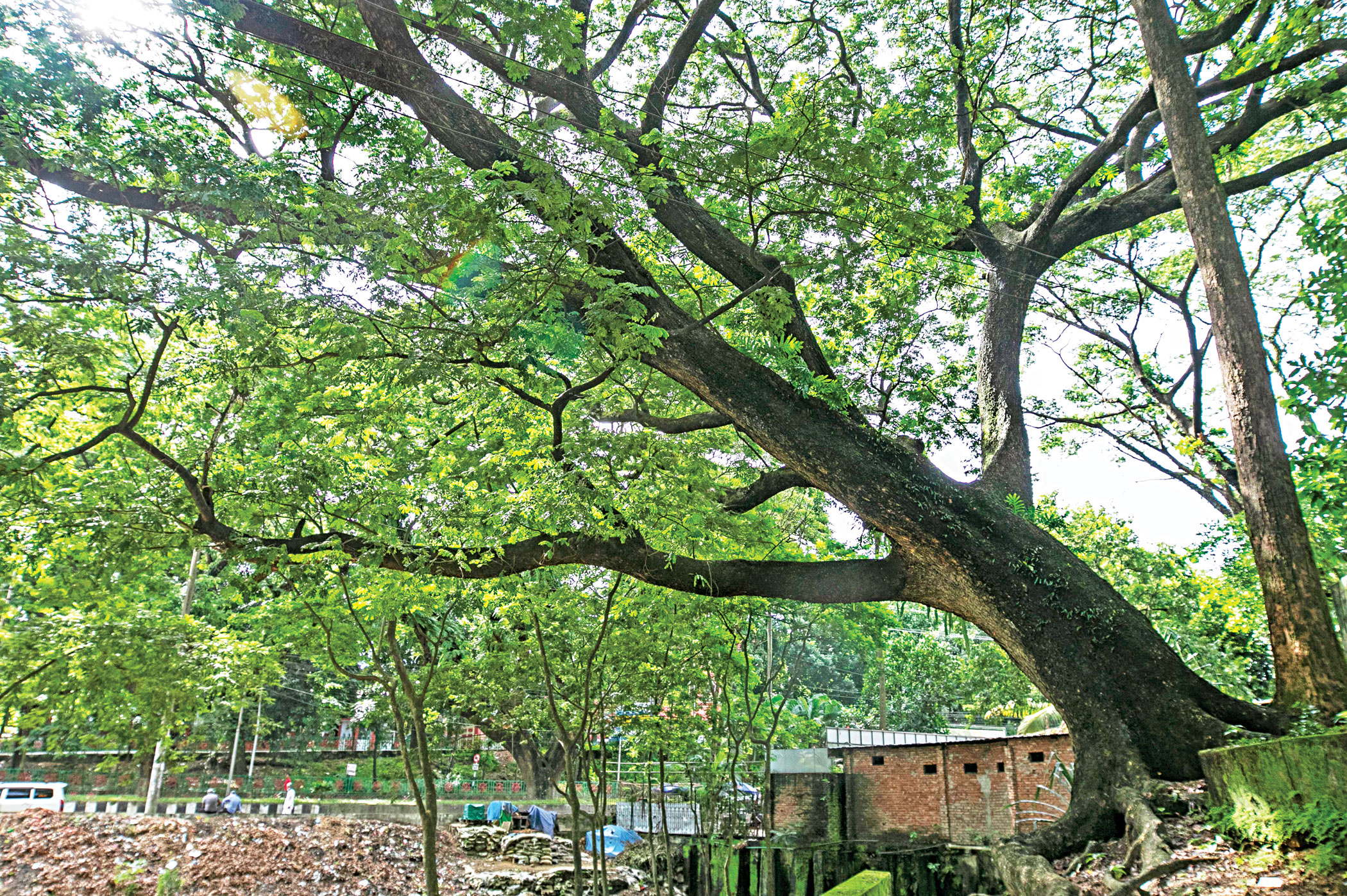 Chattogram City’s CRB Area: Citizens resist hospital project on green space