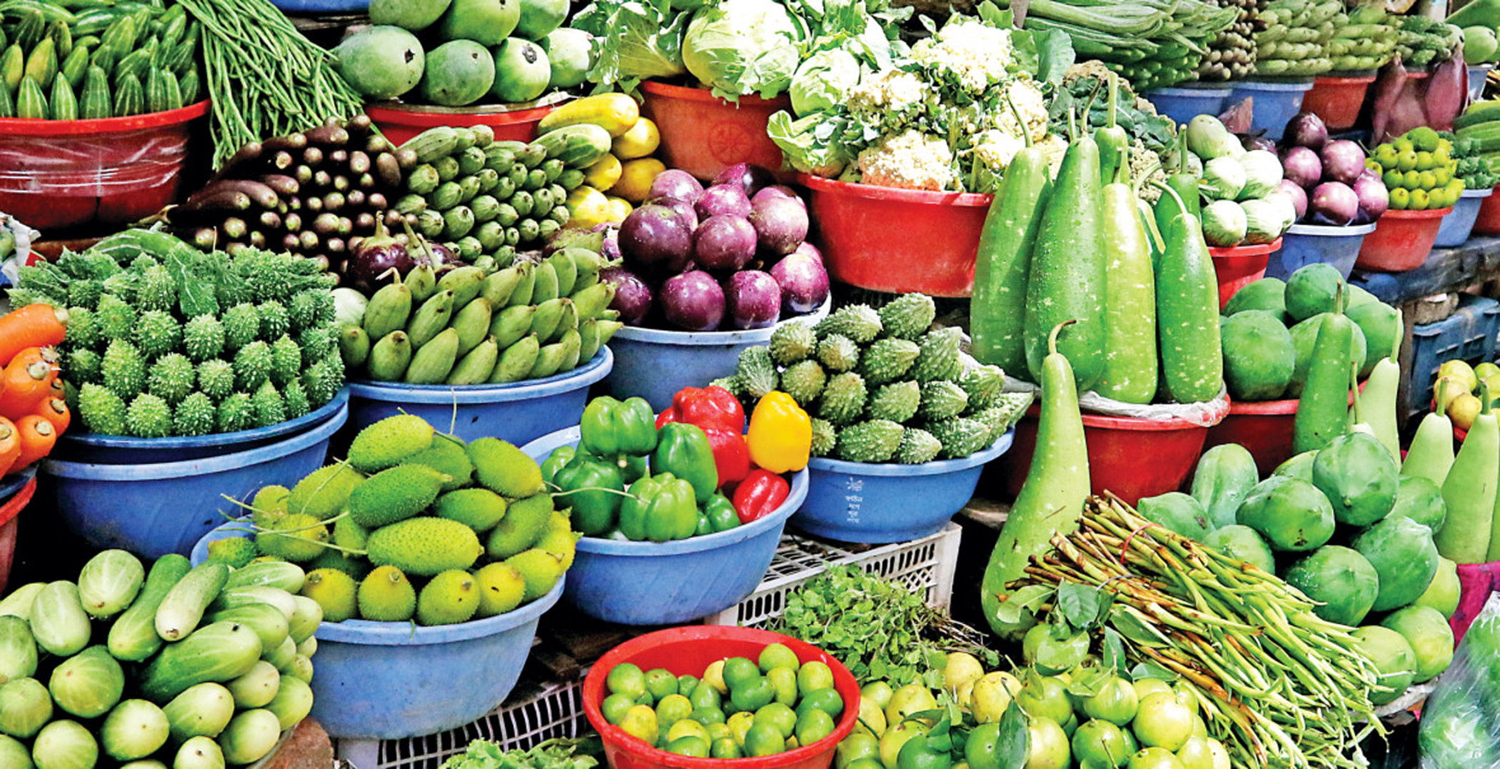 A beginner’s guide to vegetable gardening