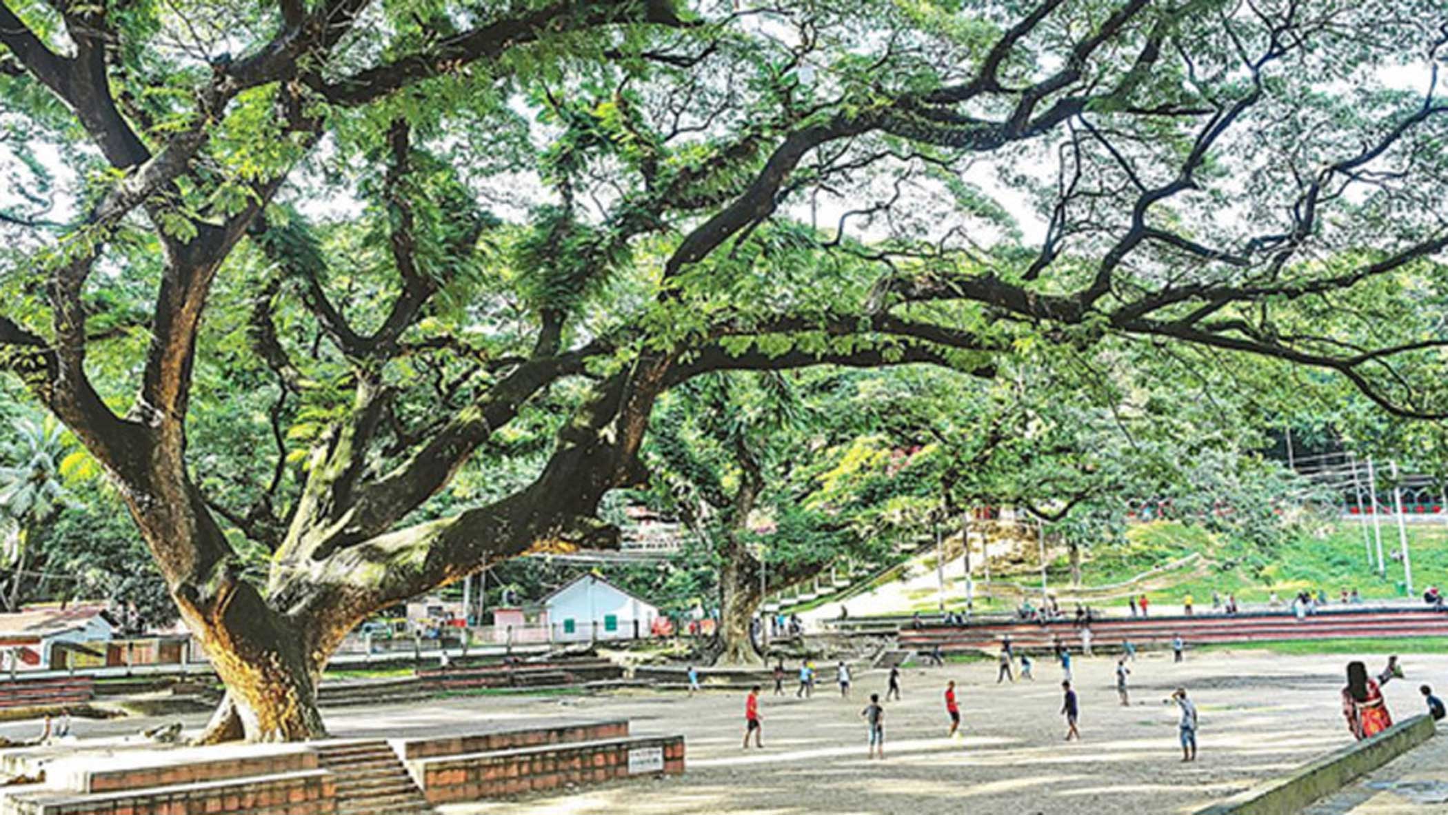 Could public consciousness of history be a measure of social progress?