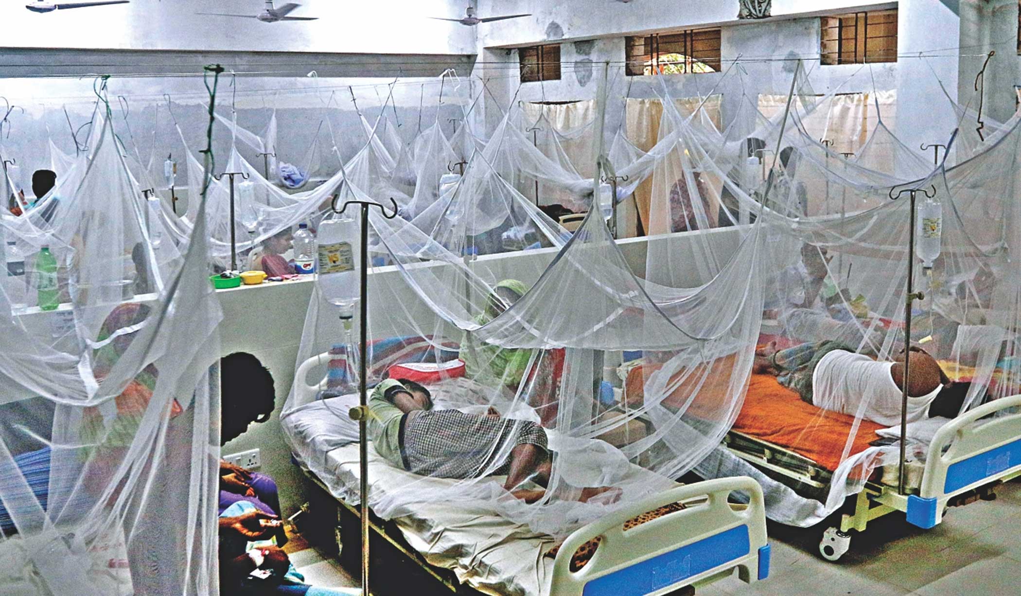 Are we headed towards another dengue crisis?