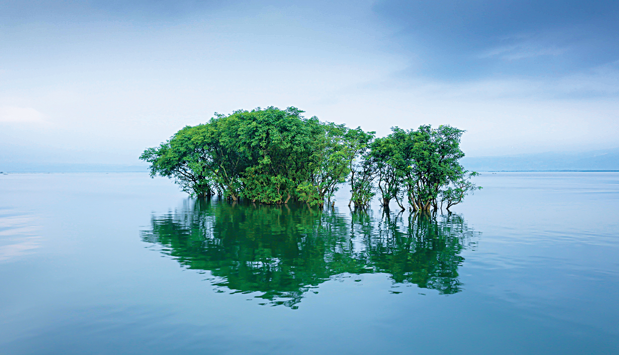 Nature-based solutions to our societal challenges