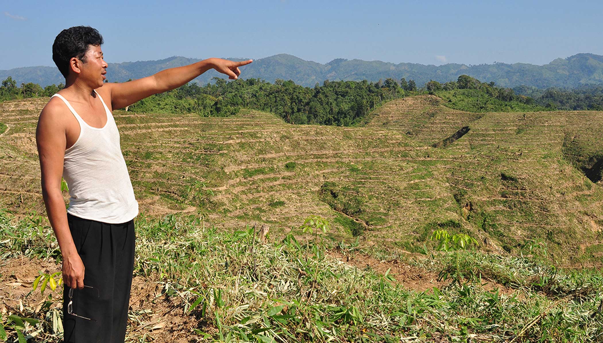 Ending deforestation by 2030: An empty promise?