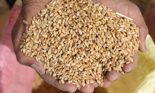 India bans wheat export, will be sensitive to Bangladesh's needs