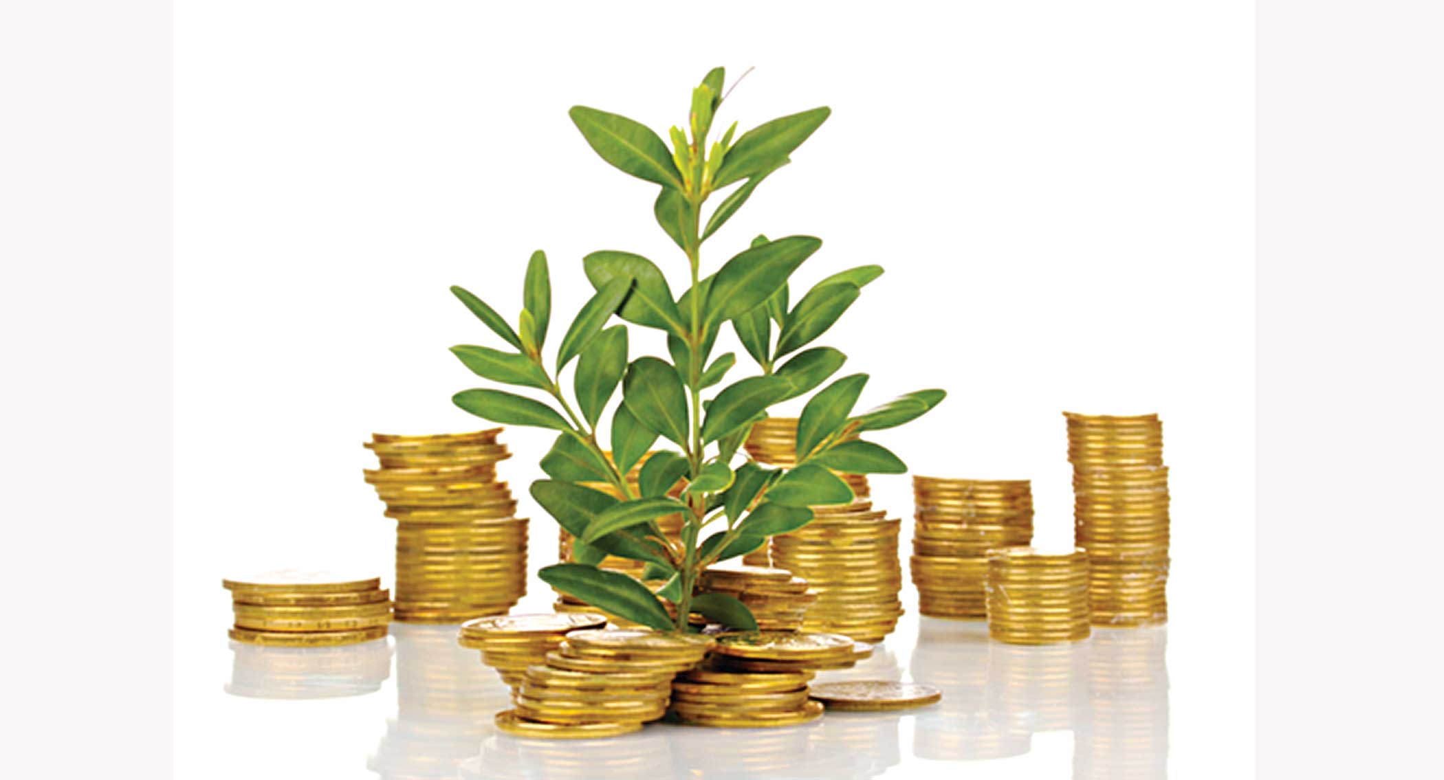 Private sector engagement for unlocking climate finance