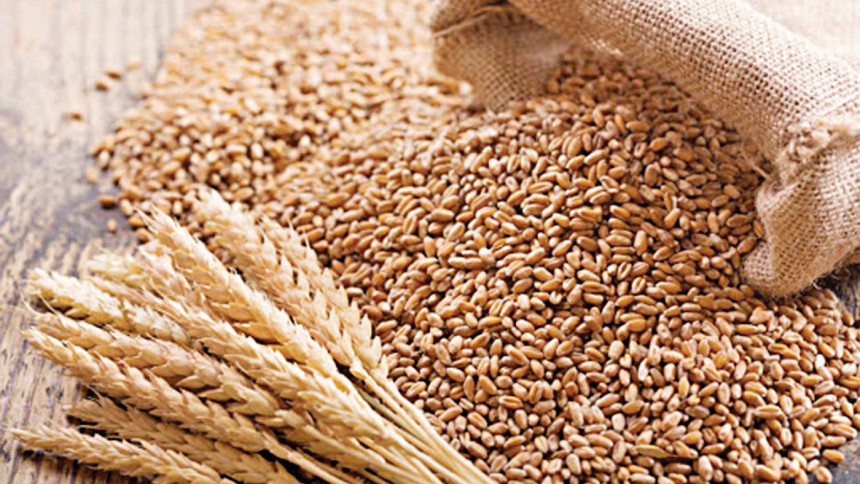 Russia offered to export 2 lakh metric tons of wheat to Bangladesh