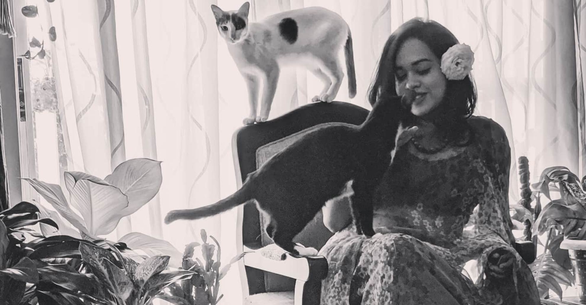 How pets help our mental health