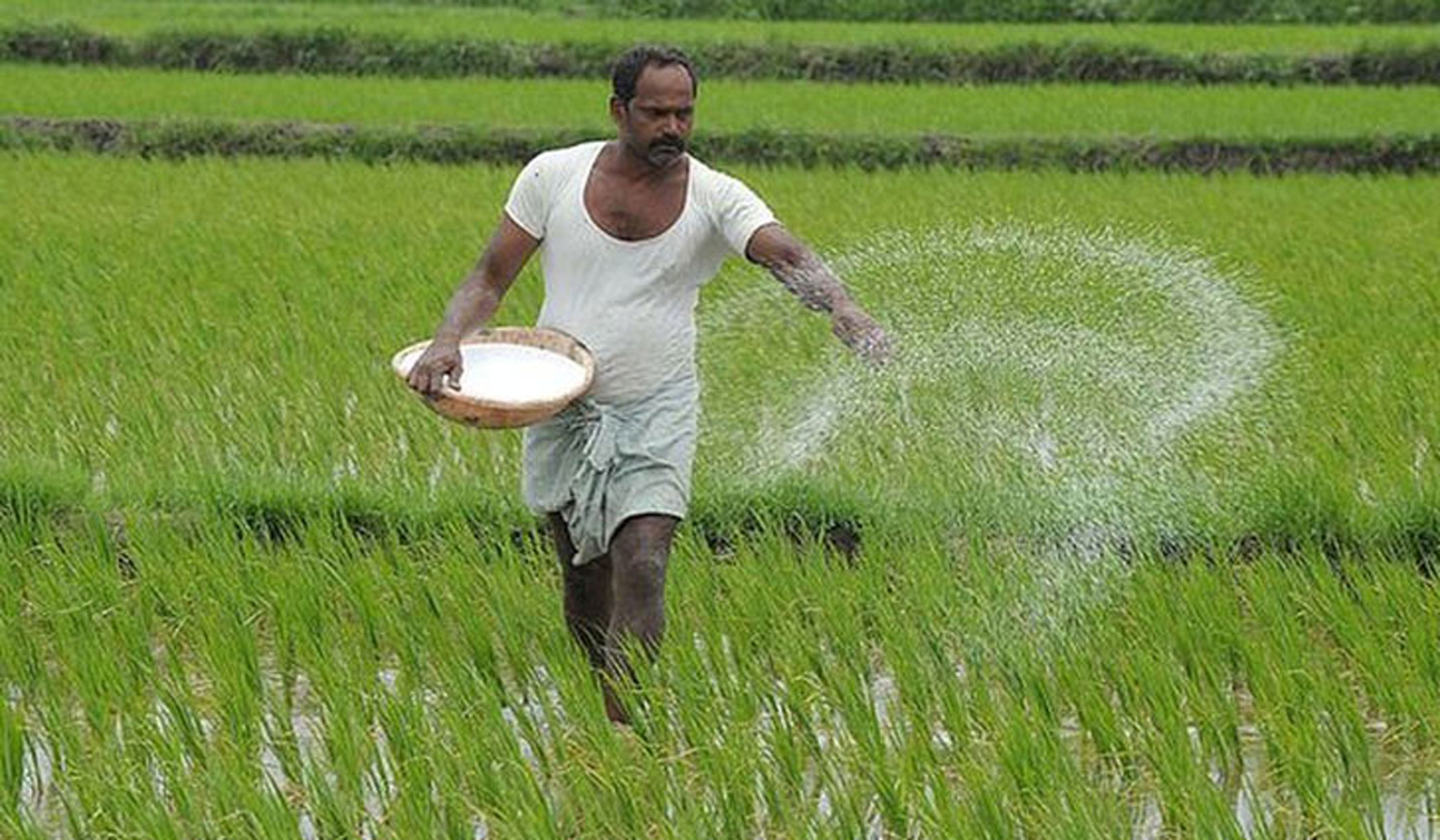 13 to be honoured for contribution to agriculture