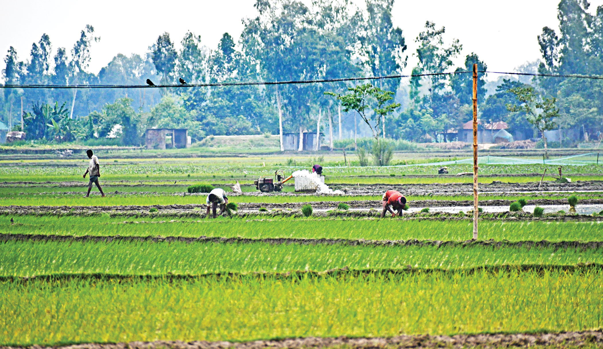 Costlier fuel to hit farmers hard