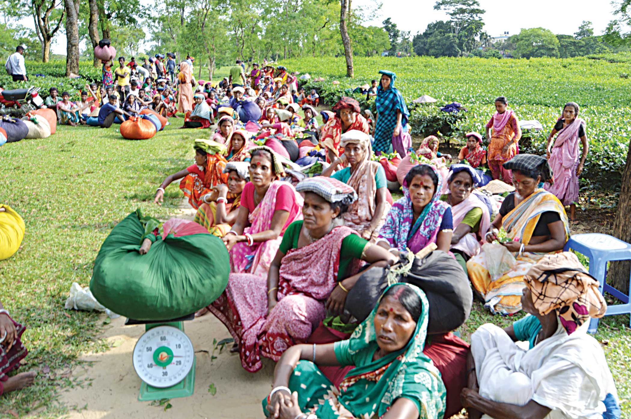 Most tea workers continue protest for pay hike