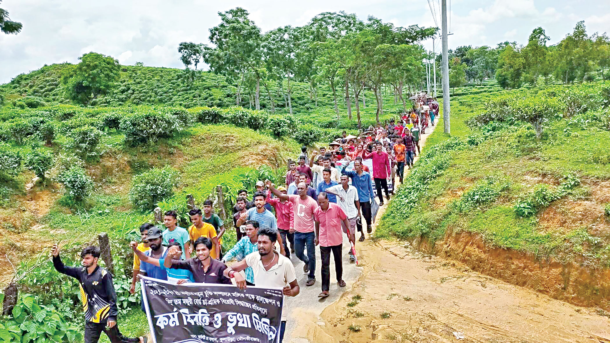 Plight and struggle of tea workers continue forever